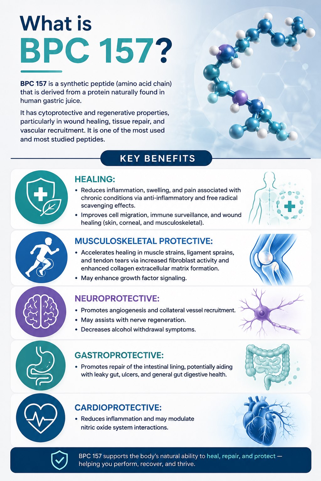 BPC 157 peptide guide infographic