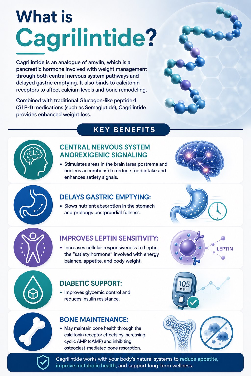 Cagrilintide peptide guide infographic