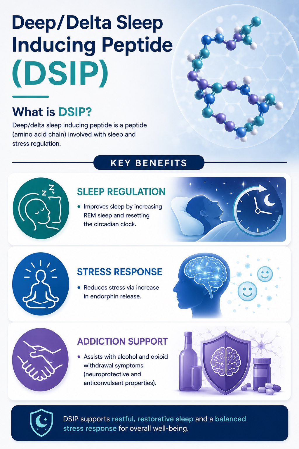 DSIP peptide guide infographic