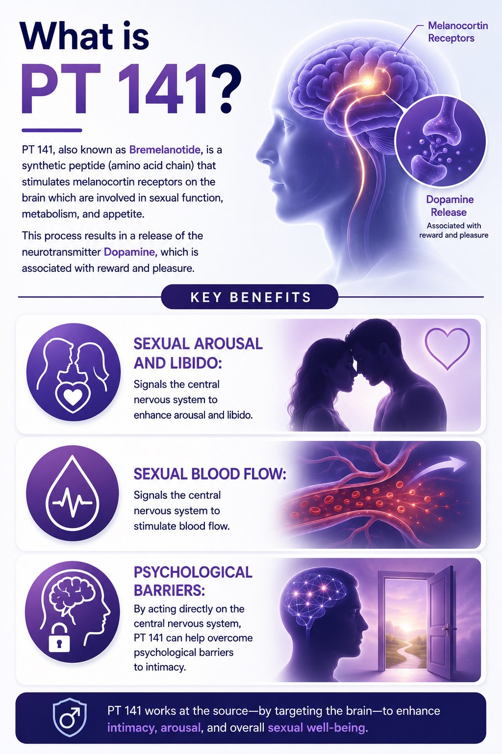 PT-141 peptide guide infographic